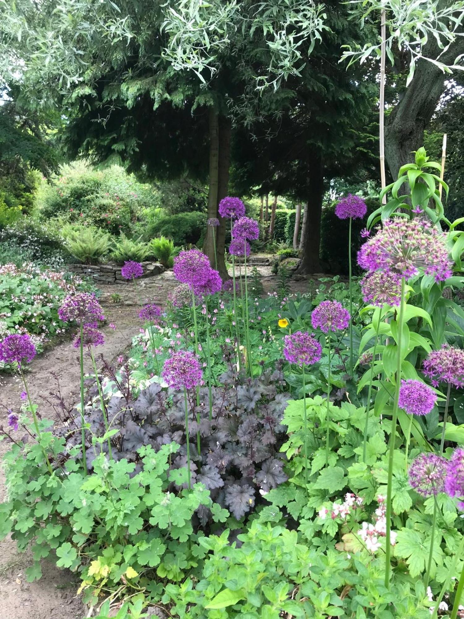 Phlomis Villa York Kültér fotó